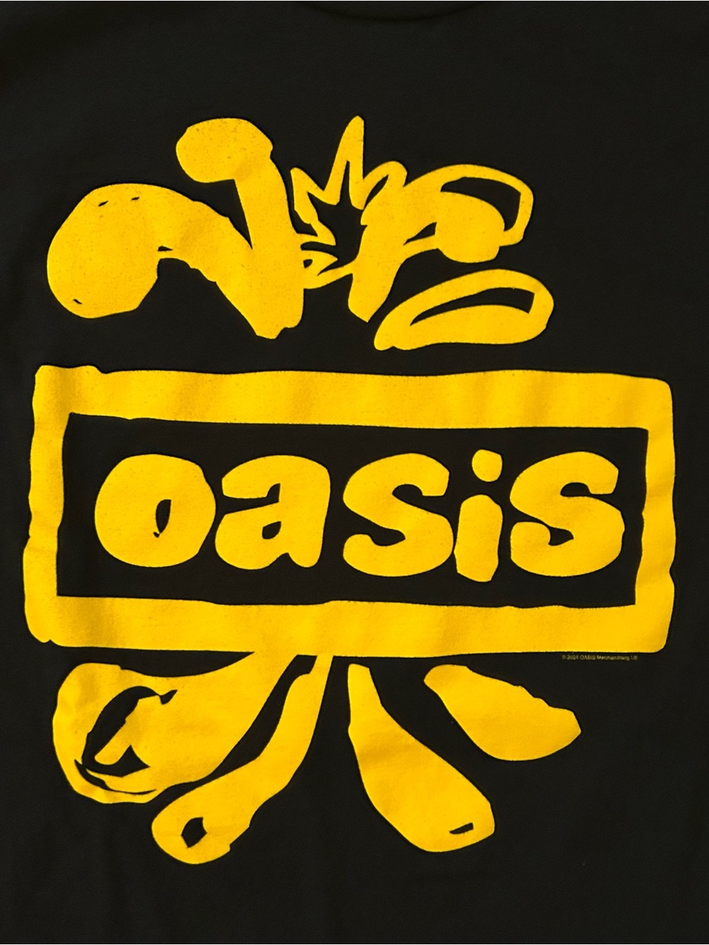 2025 Oasis Tour Tee - Picture 2 of 3